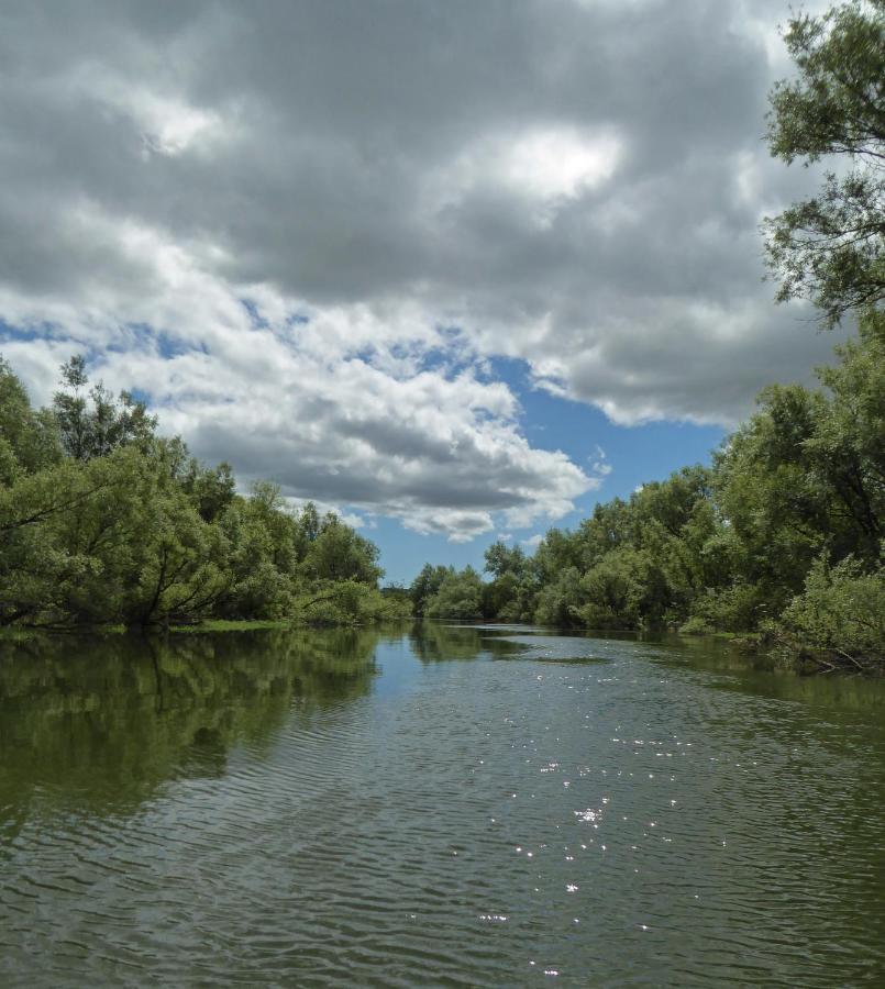 Blackwater Eco Pods Villierstown Bagian luar foto